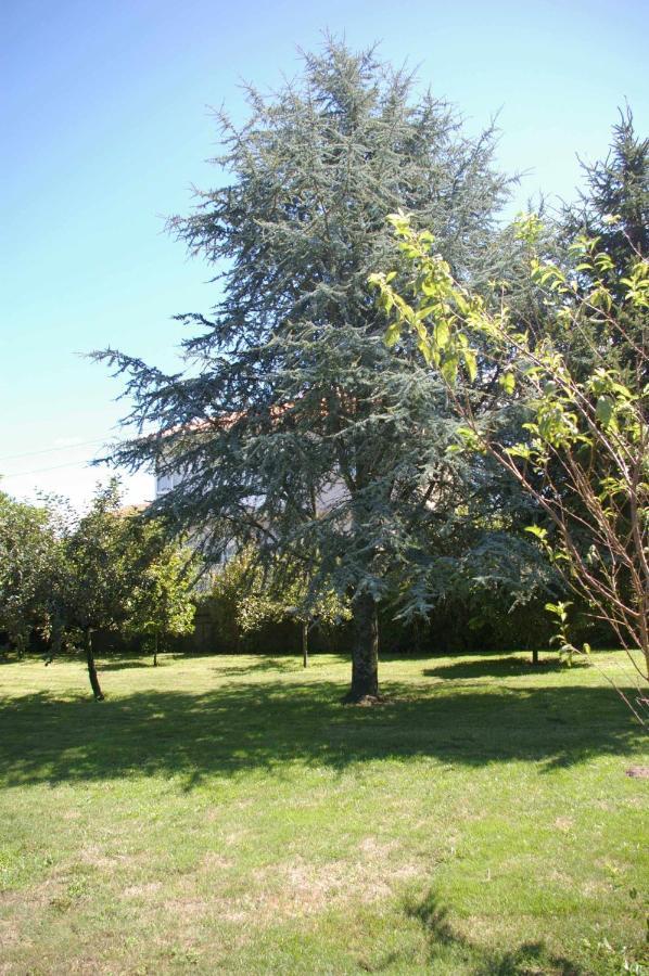 Villa Vivienda Tradicional Con Jardin Y Patio Interior à Villanueva De Arosa Extérieur photo
